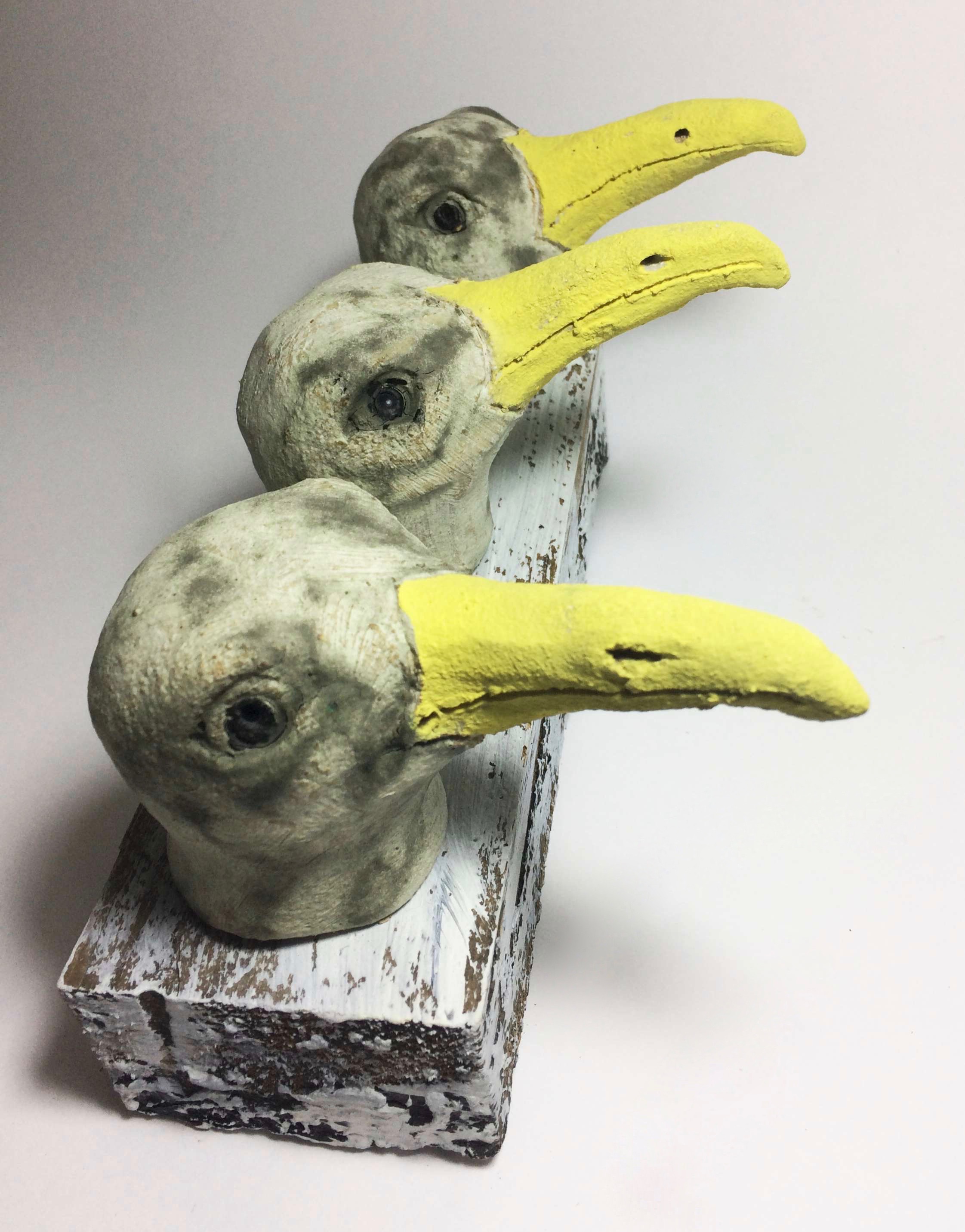 3 Seagull Heads on woodblock