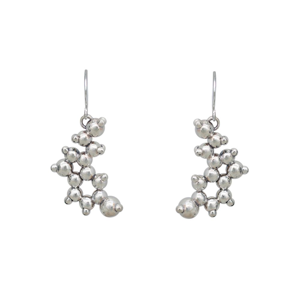 web_serotonin earrings.jpg