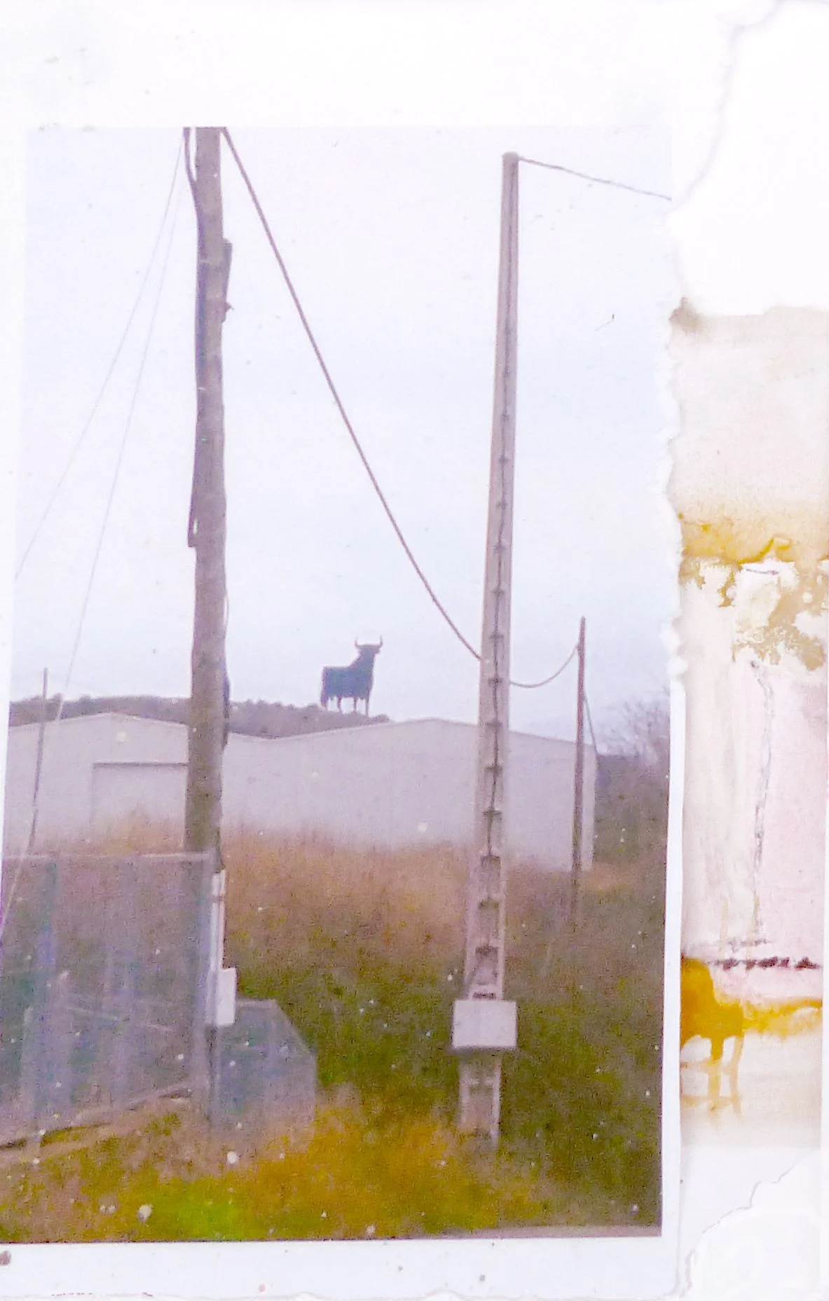 Artist Talk - My Camino by John Brokenshire, Sat 19 August, 2pm