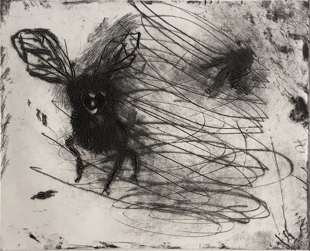 800_smiler drypoint etching 30 x 25 framed ┬ú250 .jpg