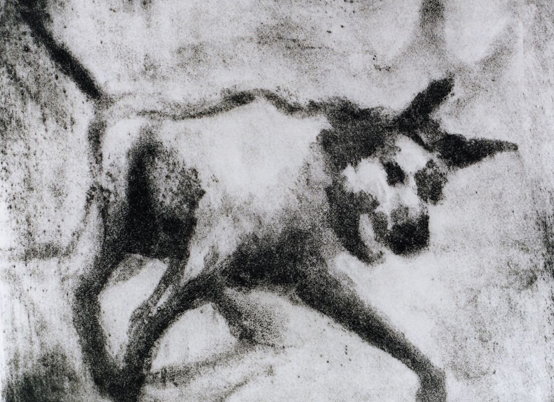 Corinna Button - Dog