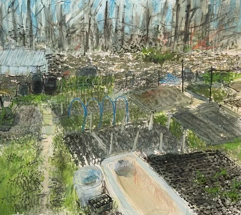 redone_Stephen Todd See This.jpeg