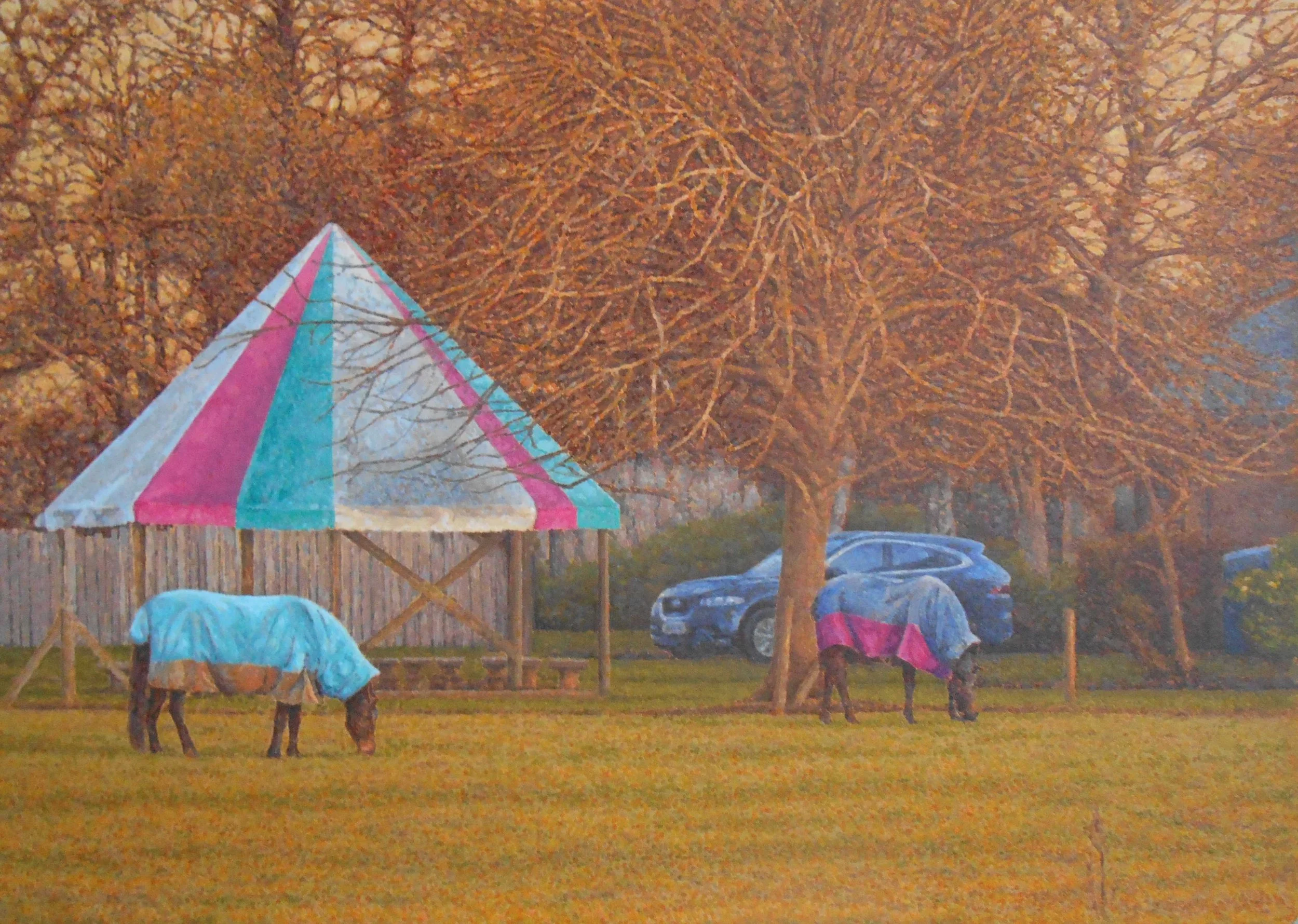 Recording of artist talk by Sean Williams - Oak Park to Meadow View