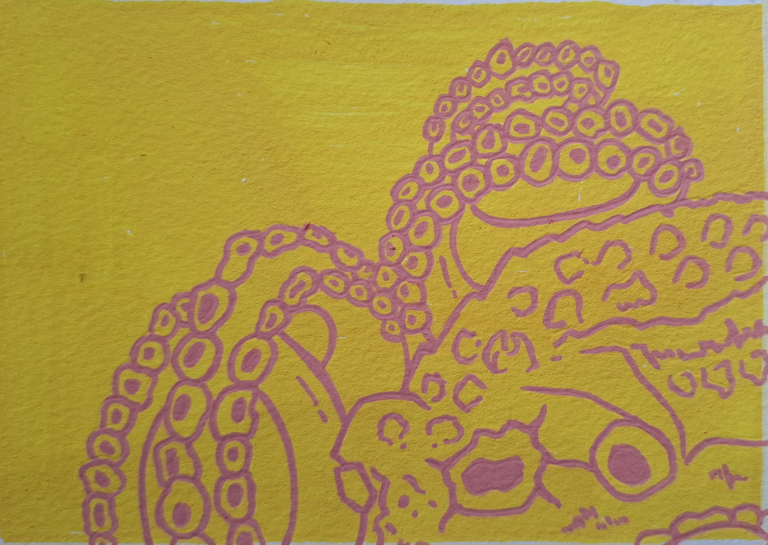 Secret Postcard 1