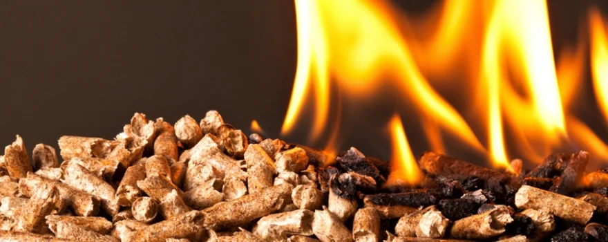 pellet-2.jpg