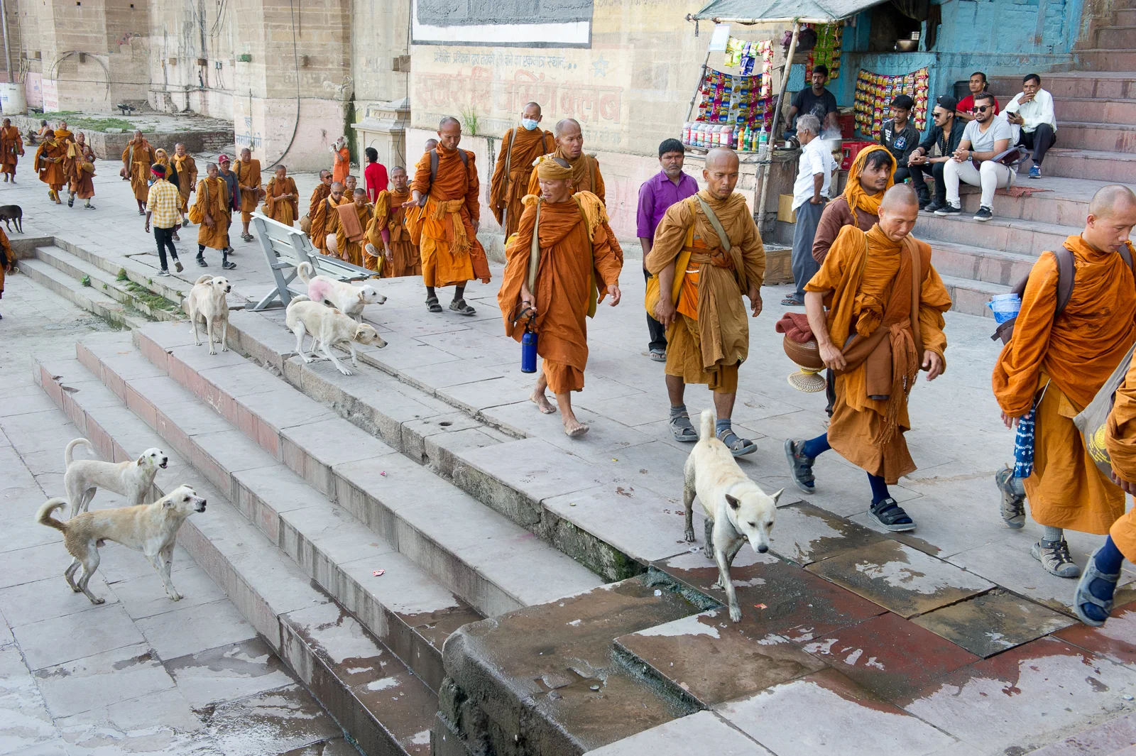 Buddhist monks being chased by dogs on the ghats, Varanasi, 2019
