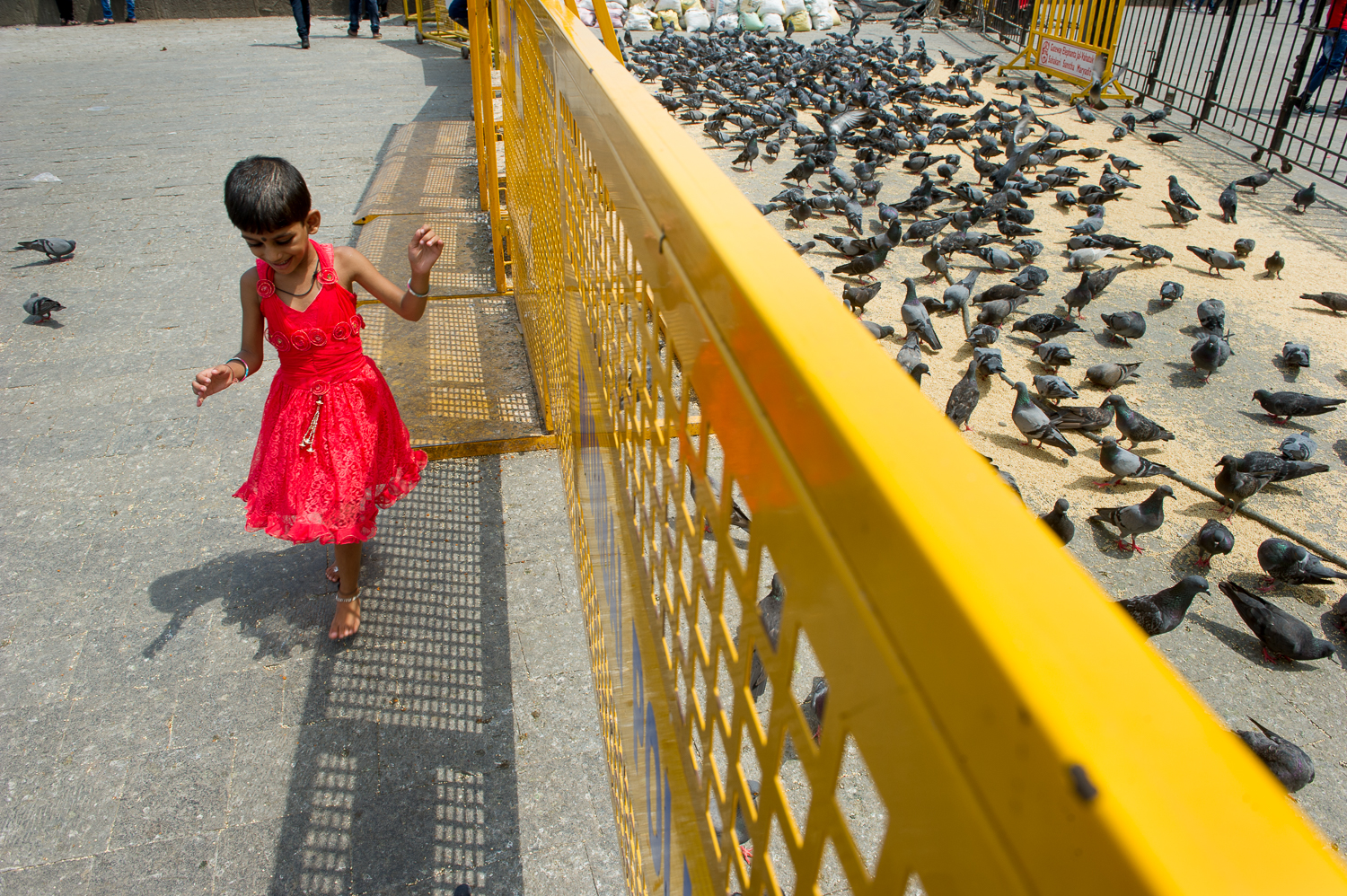  Girl feeding pigeons, Gateway to India, Mumbai 2019 
