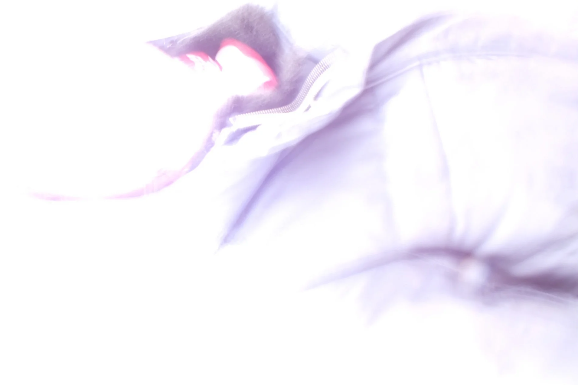 Psychotherapie Wiesbaden: EMDR-Therapie zur Verarbeitung belastender Erlebnisse