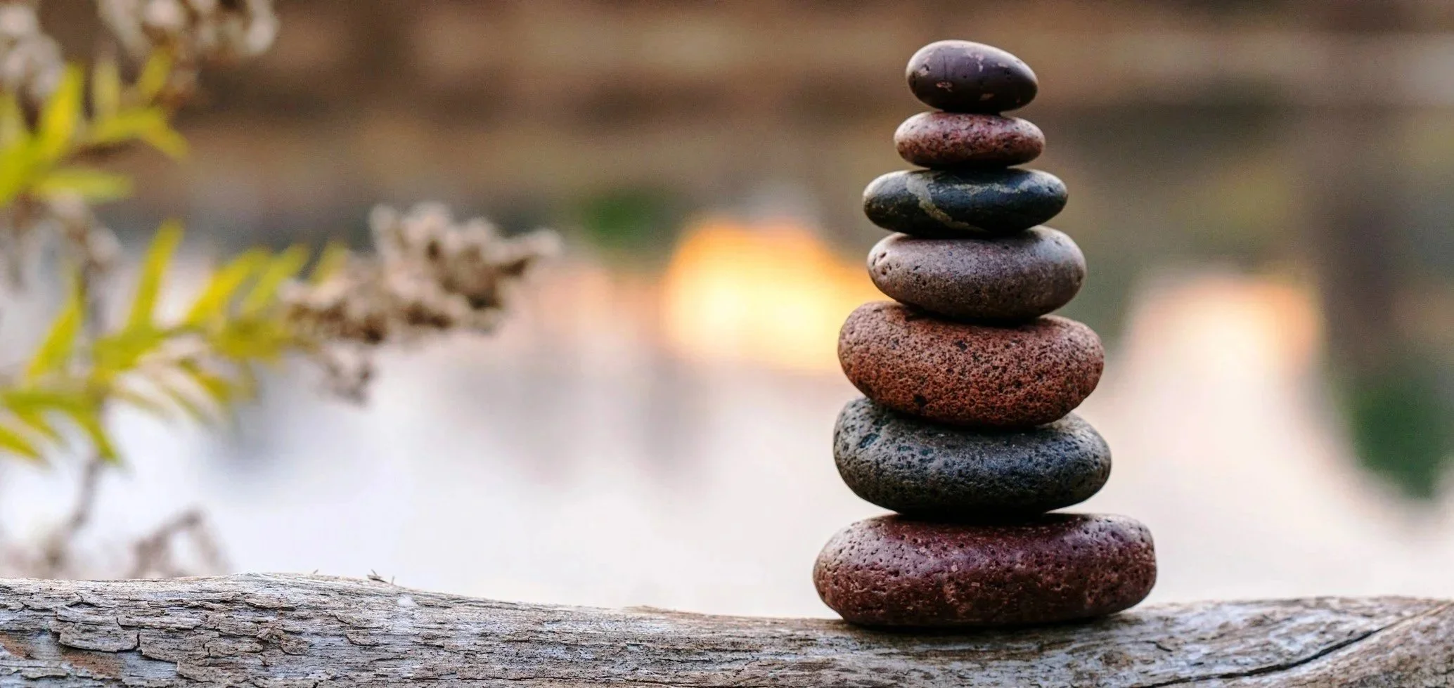 brad-switzer-SHDCQ1l2WD0 proc.jpg