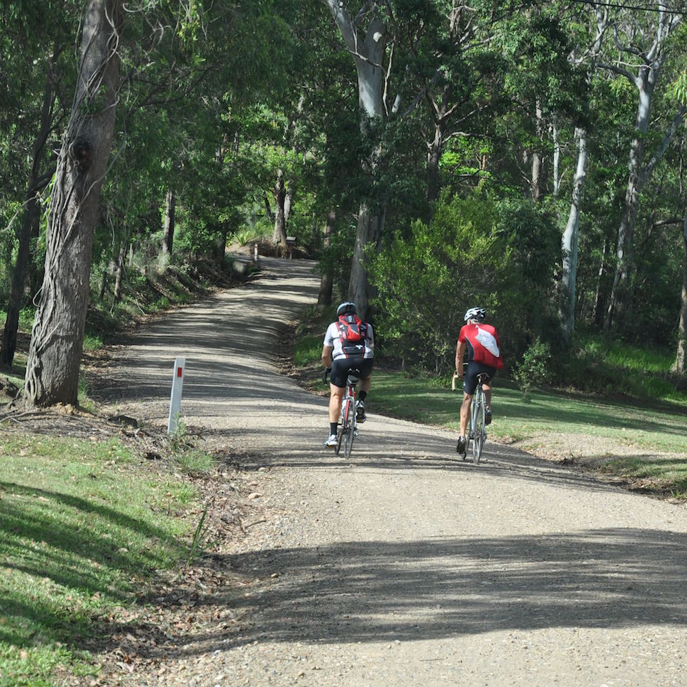 MOUNTAIN BIKE TRAILS — NOOSA BIKE SHOP