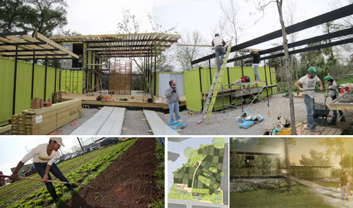 Grow-Dat-composite.jpg
