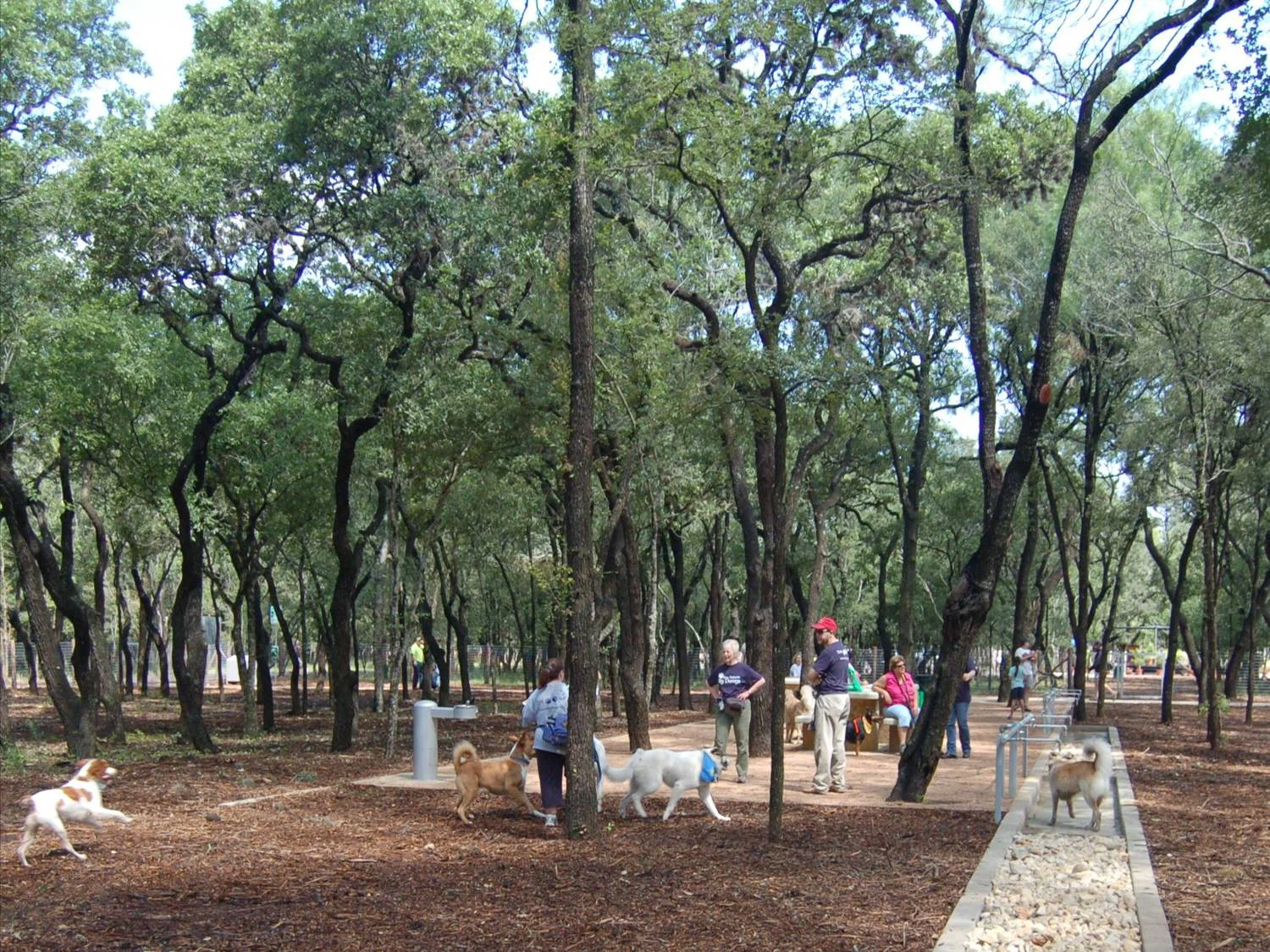 Dog Park.jpg