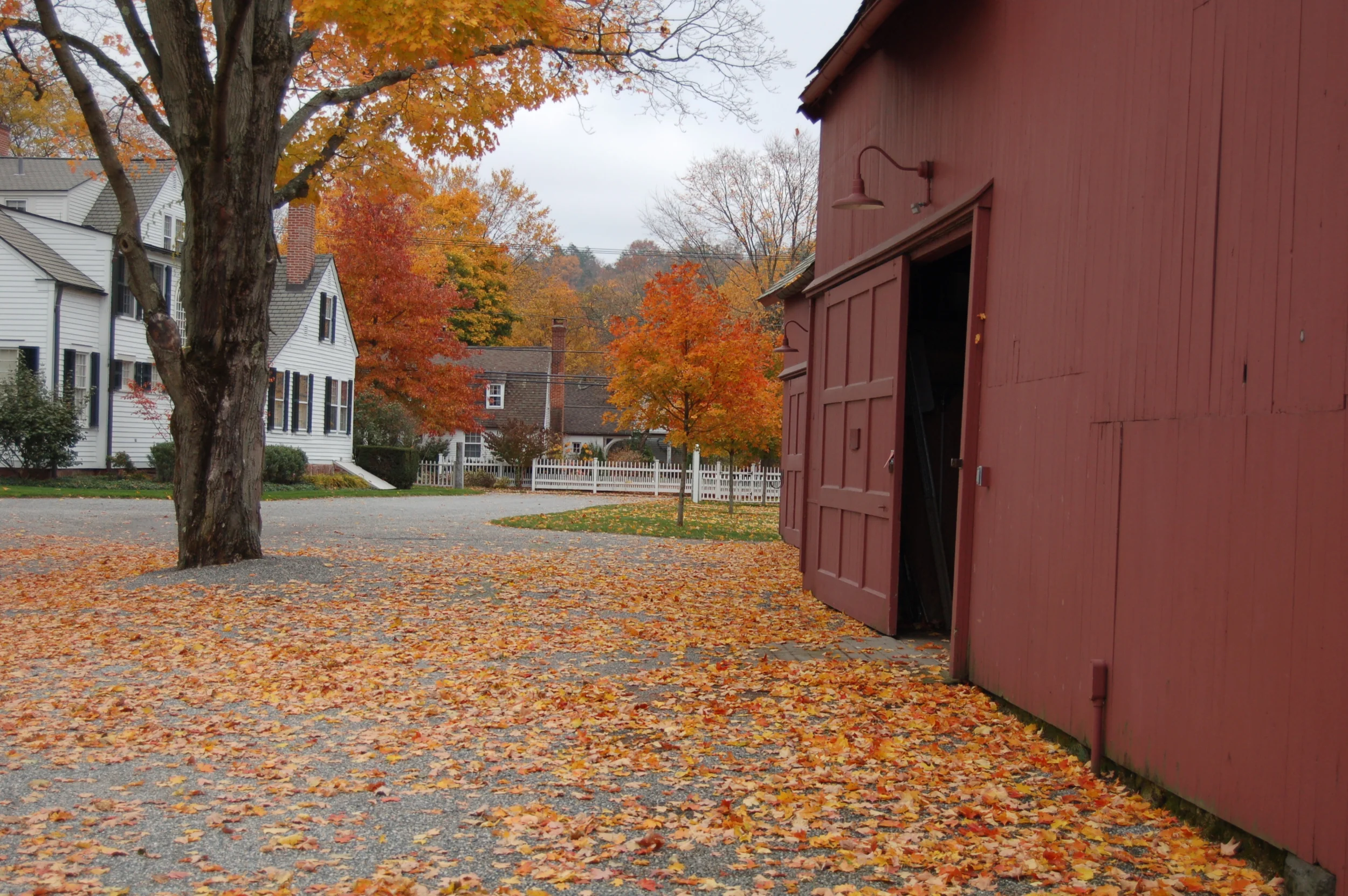 DSC_0160.JPG