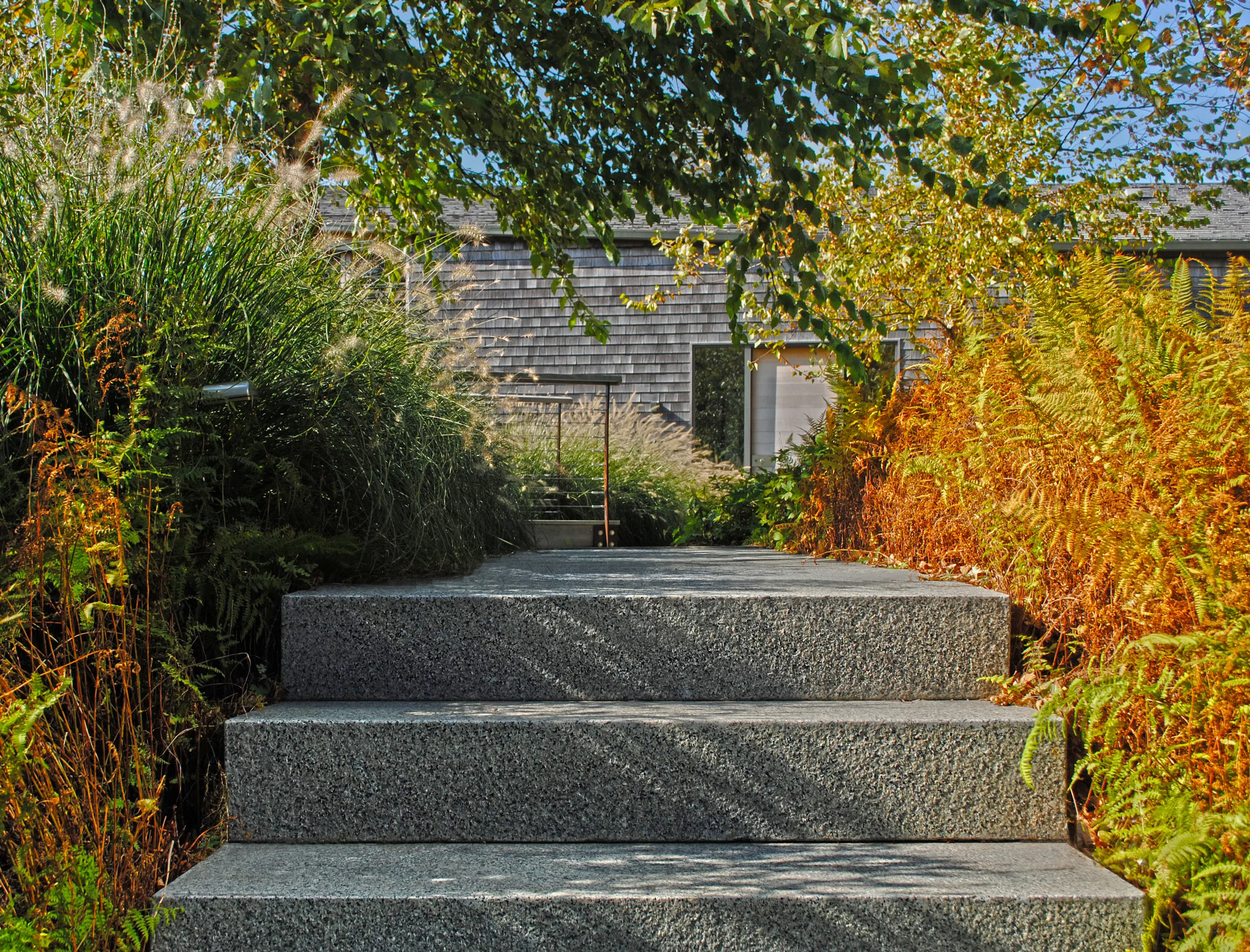 DSC_5166.JPG