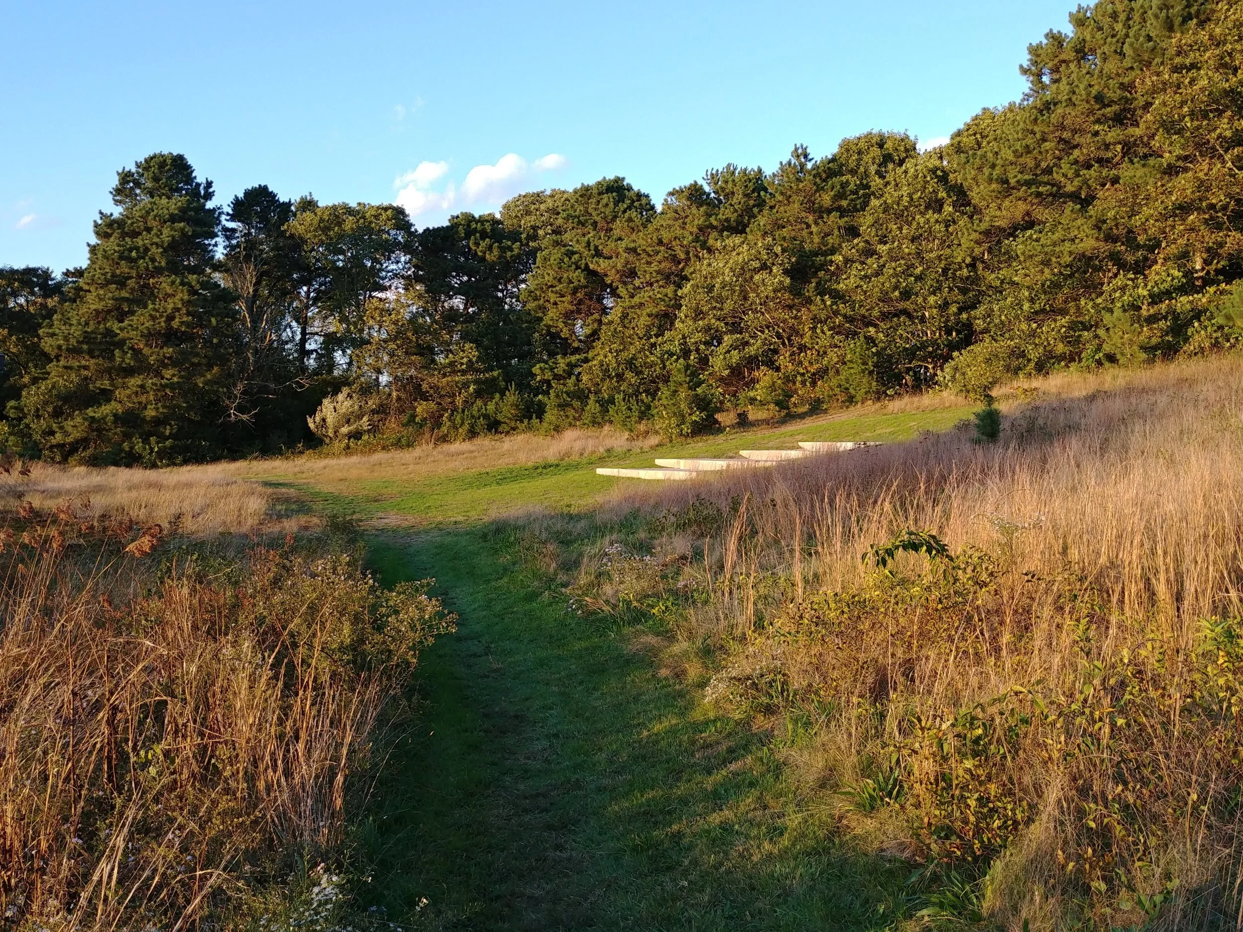 20181017_173018.jpg
