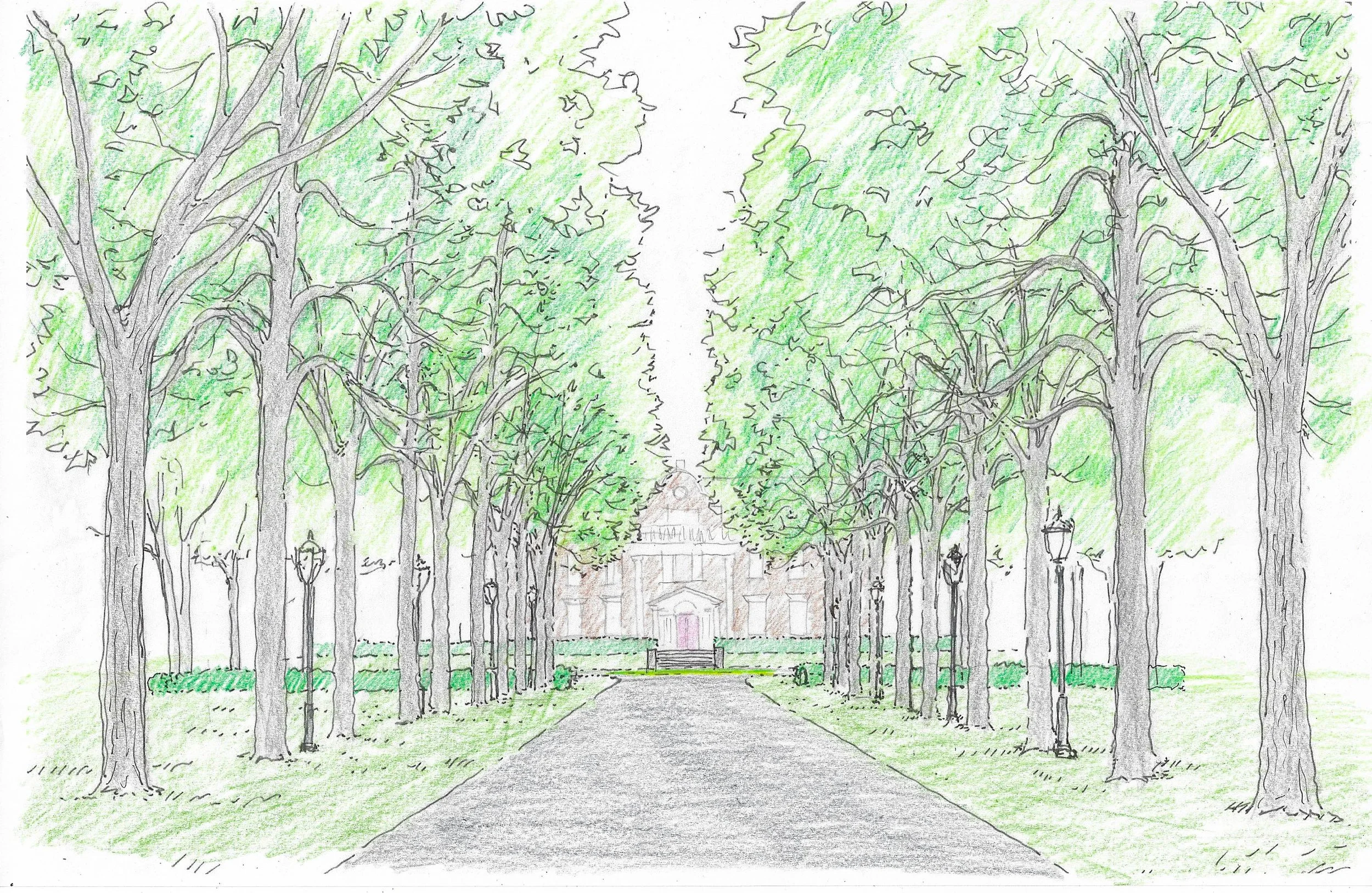 ALLEE PERSPECTIVE.jpg