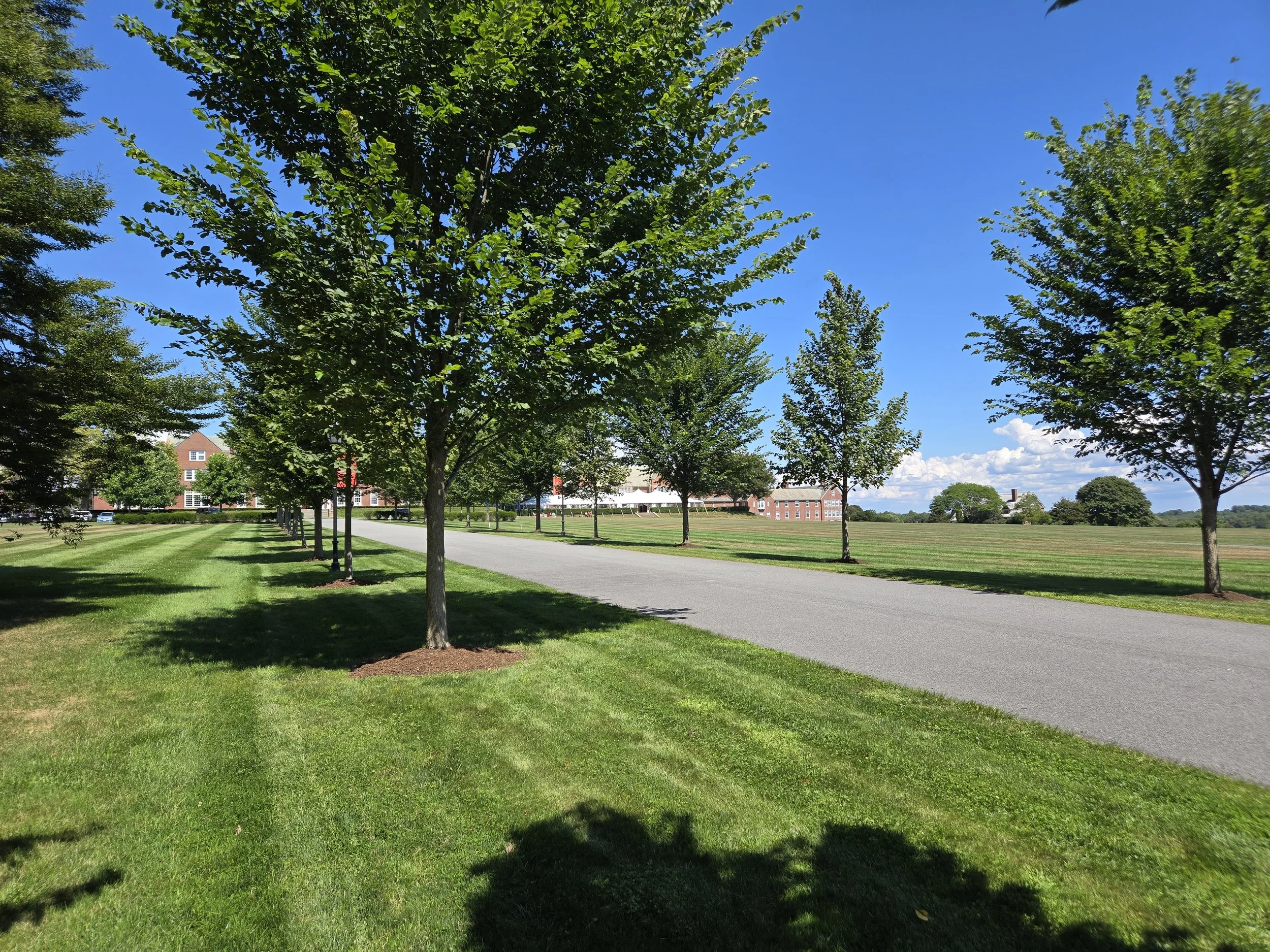 20250827_123053.jpg