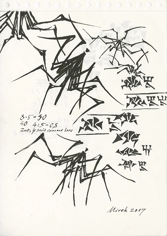 f_spinst03.jpg