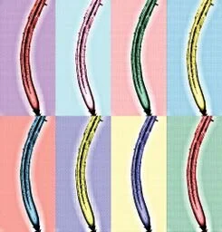 Anne- Banana Roots - 40 x 40 cm - CHF 120.-