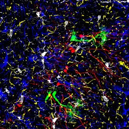 Brain  Crowd - 40 x 40 cm - CHF 120.-