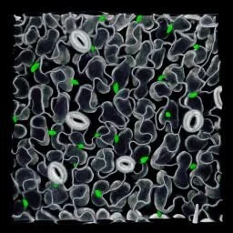 Ursache - The Surface - 40 x 40 cm - CHF 120.-