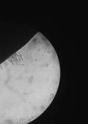 Kinnaer - The Moon - 40 x 40 cm - CHF 120.-