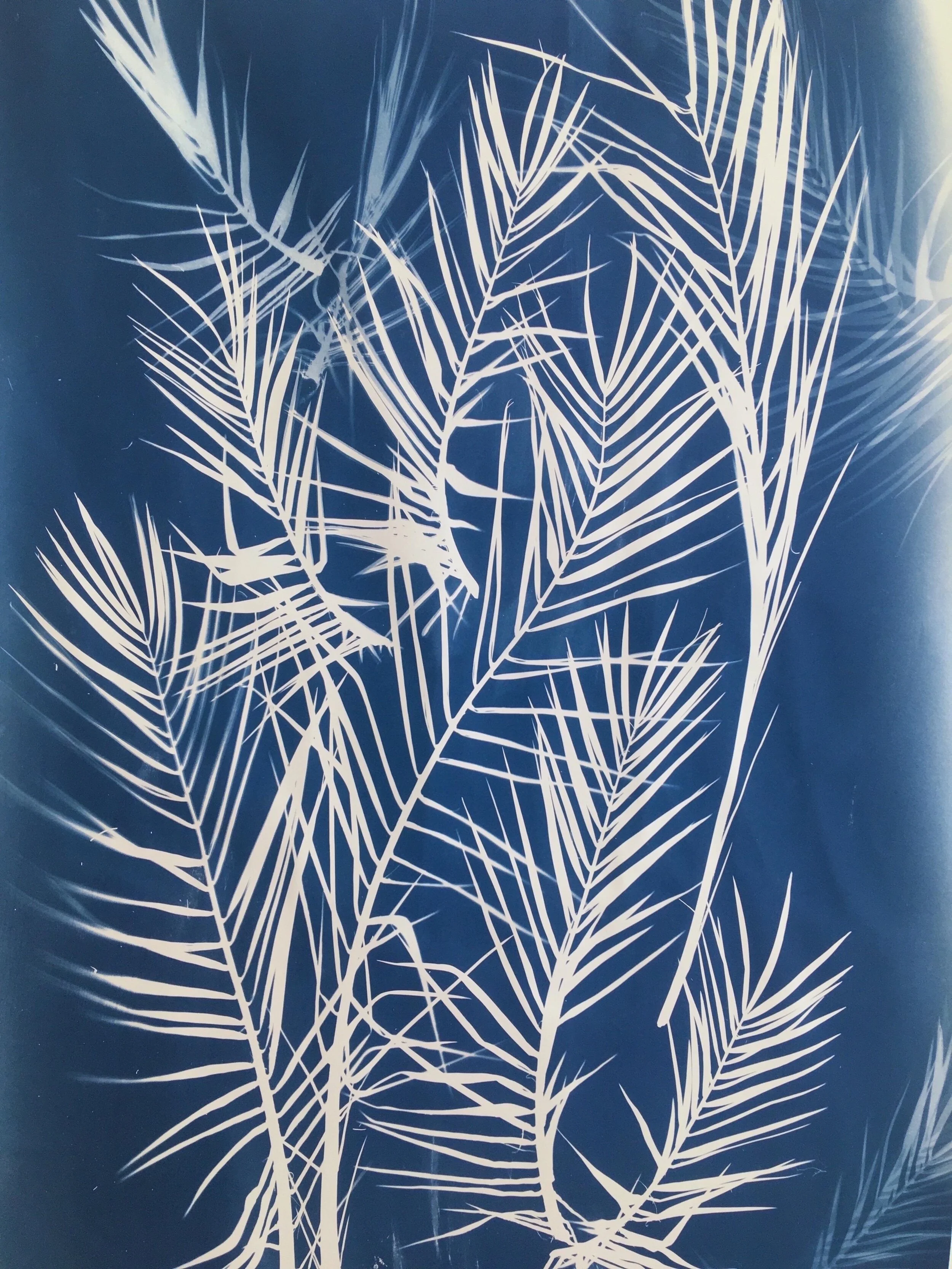 Cyanotype 1/3 (70 x100 cm) chf 150.-
