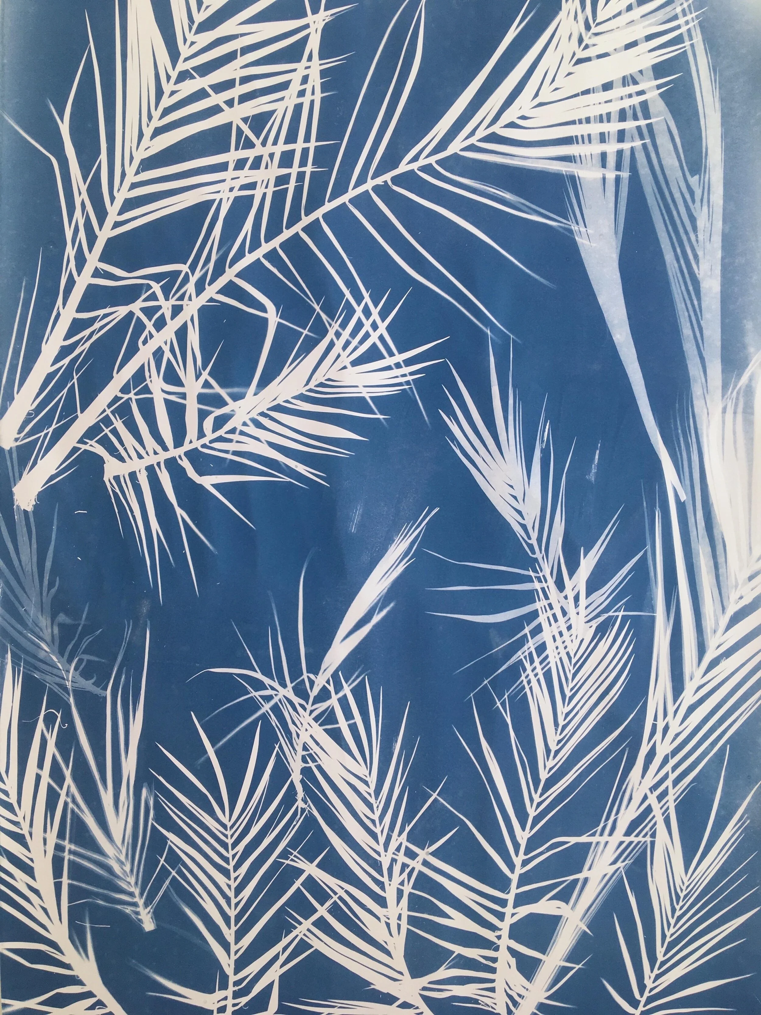 Cyanotype 3/3 (70 x100 cm) chf 150.-
