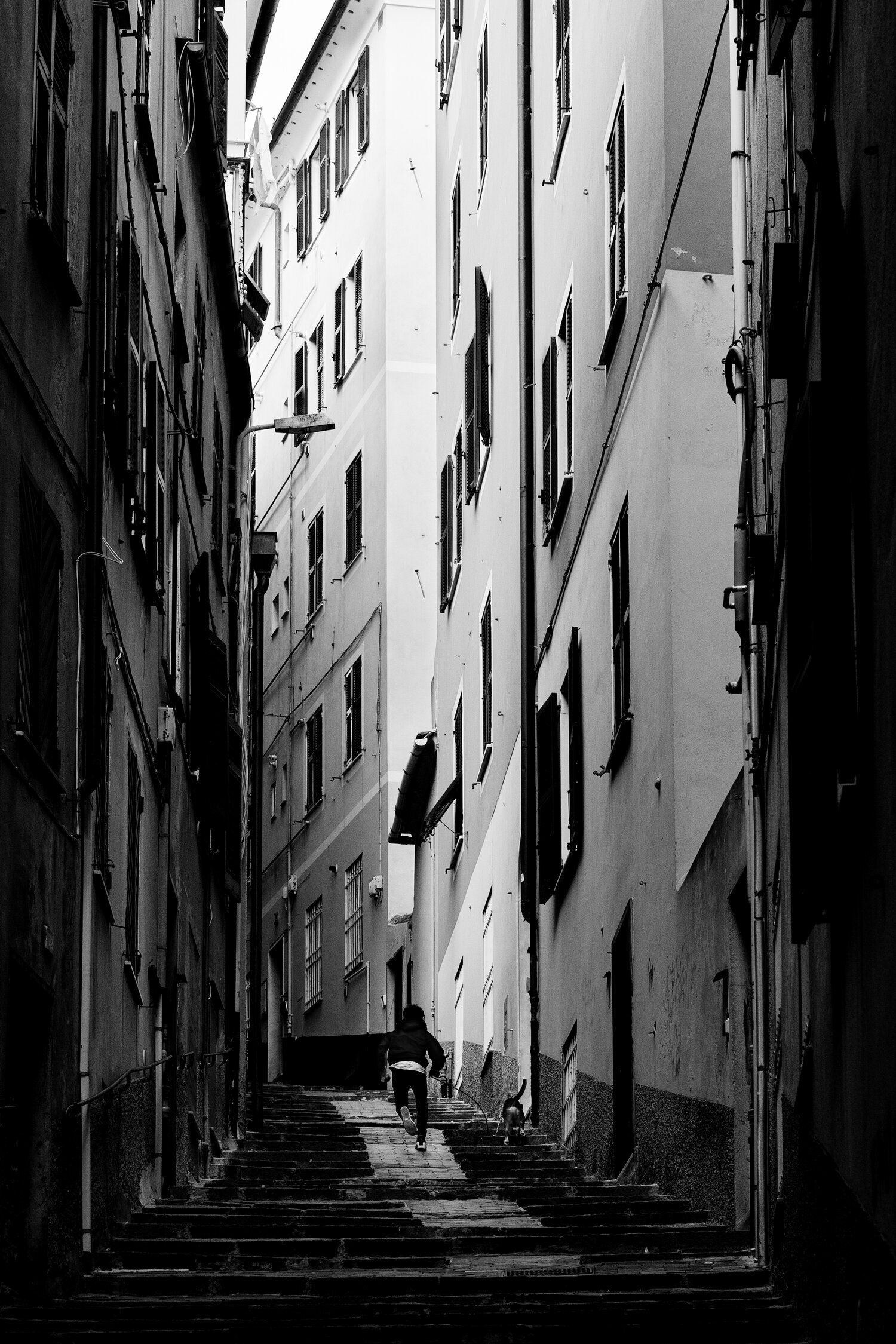 The Unyielding Run  (Genoa, Italy)