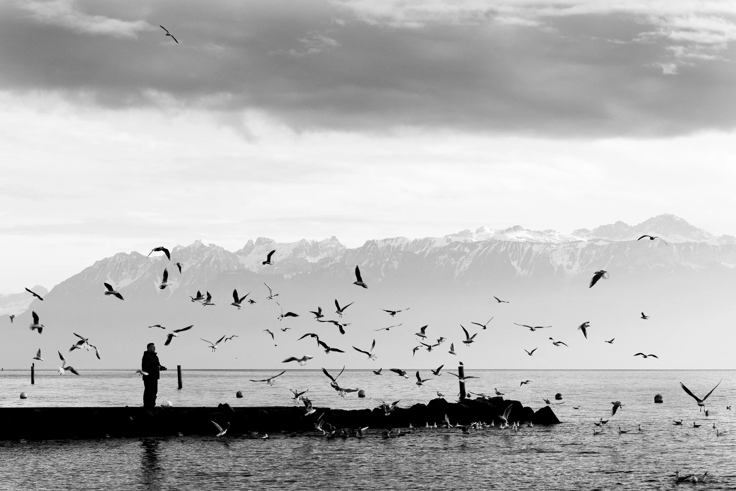 Of Peace and Tumult  (Lausanne, Switzerland)
