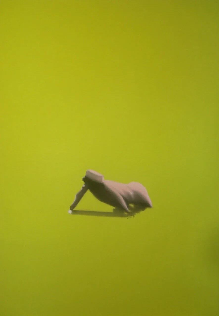  Pastel sec sur papier - 75 x 100 cm 