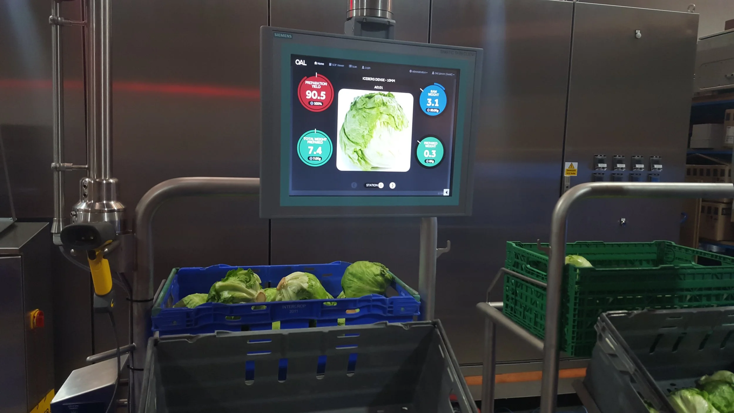 Vegetable preperation.jpg