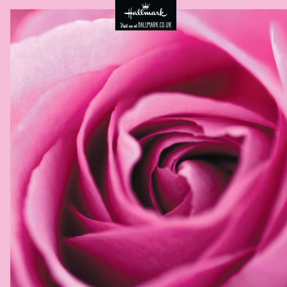 FullBloom001.gif