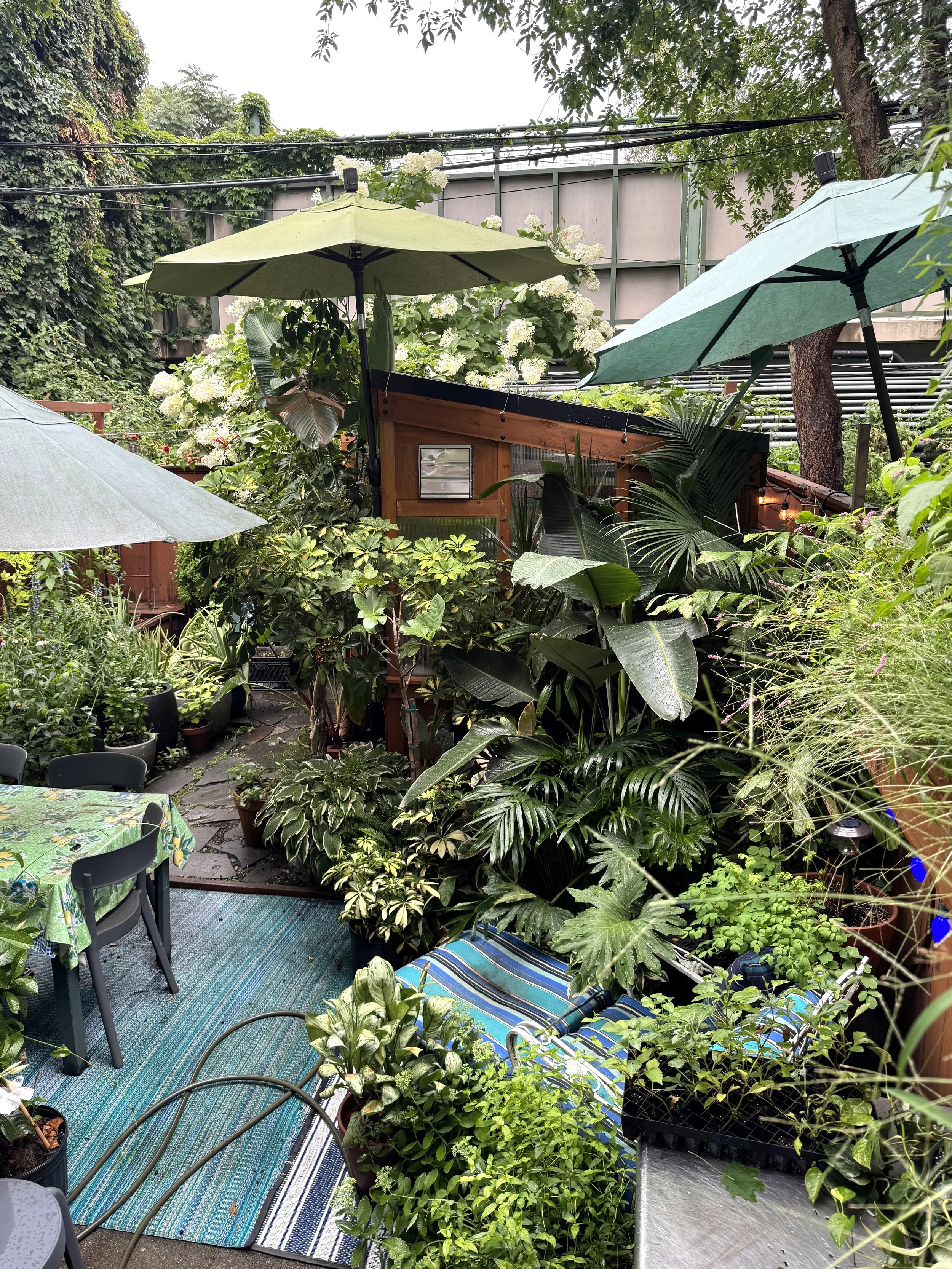 View from window.jpg