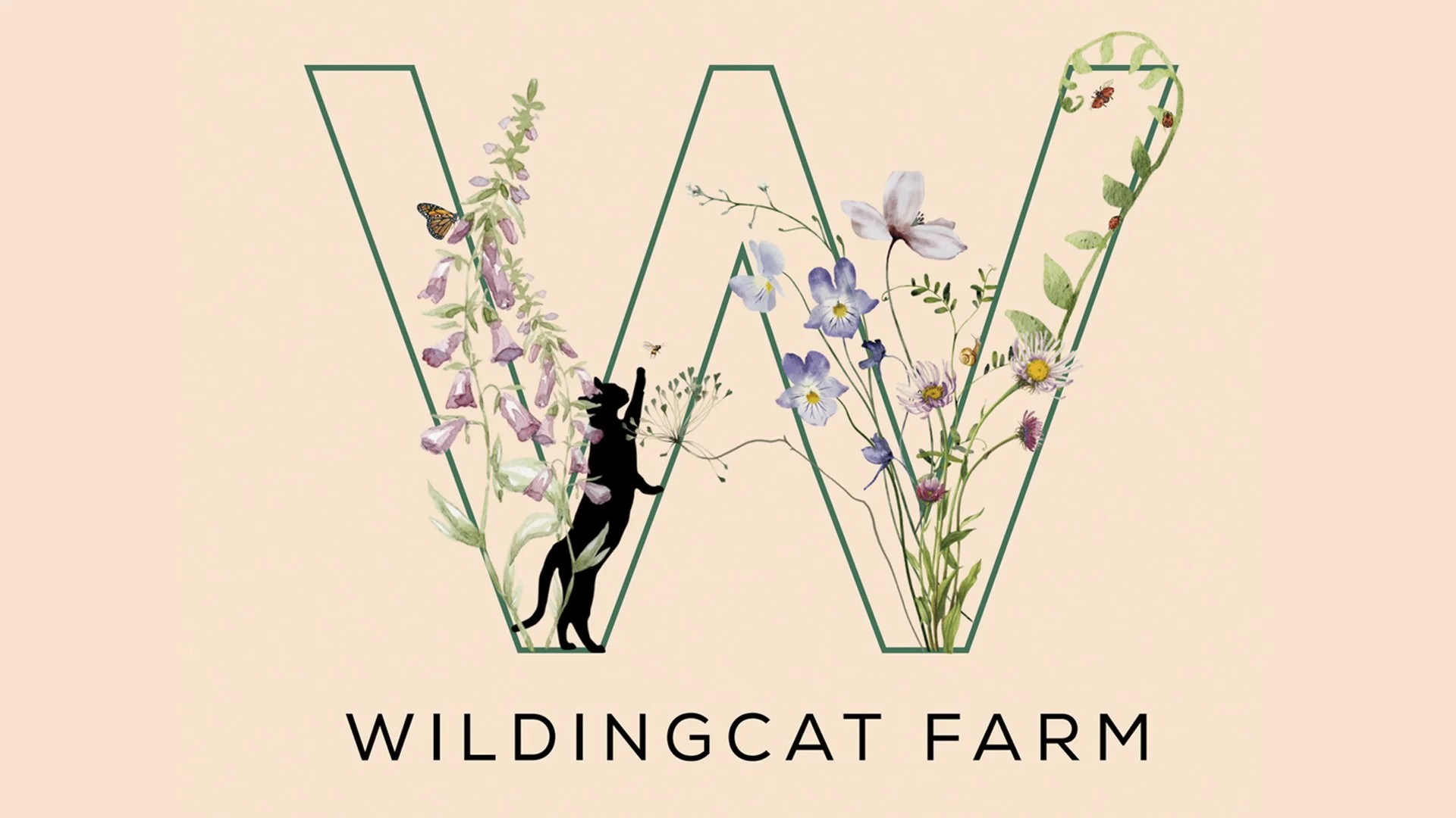 WildingCat Farm logo has a peach background with a large W containing flowers, a butterfly and bee. A black cat reaches for the bee