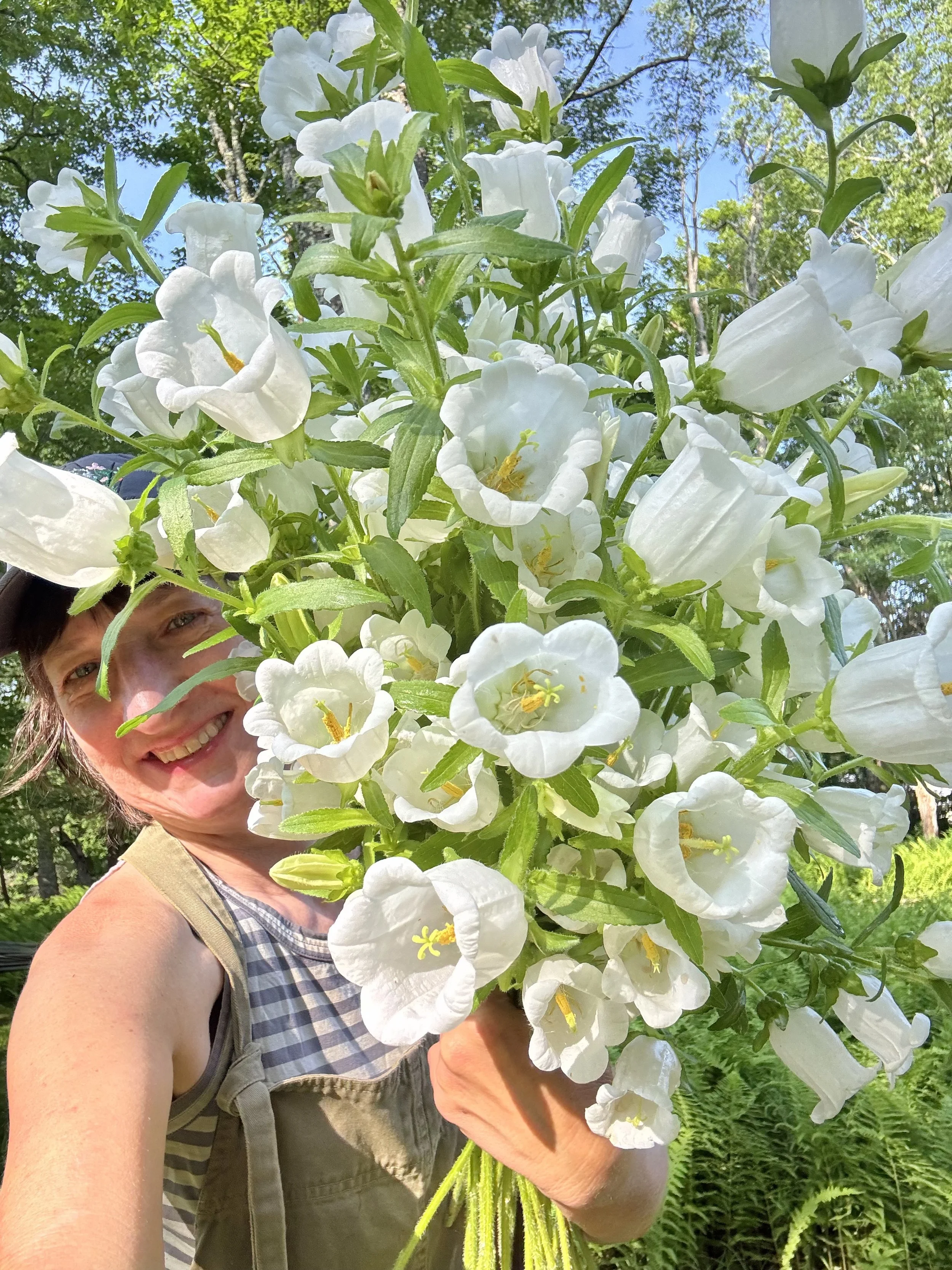 D with campanula.jpg