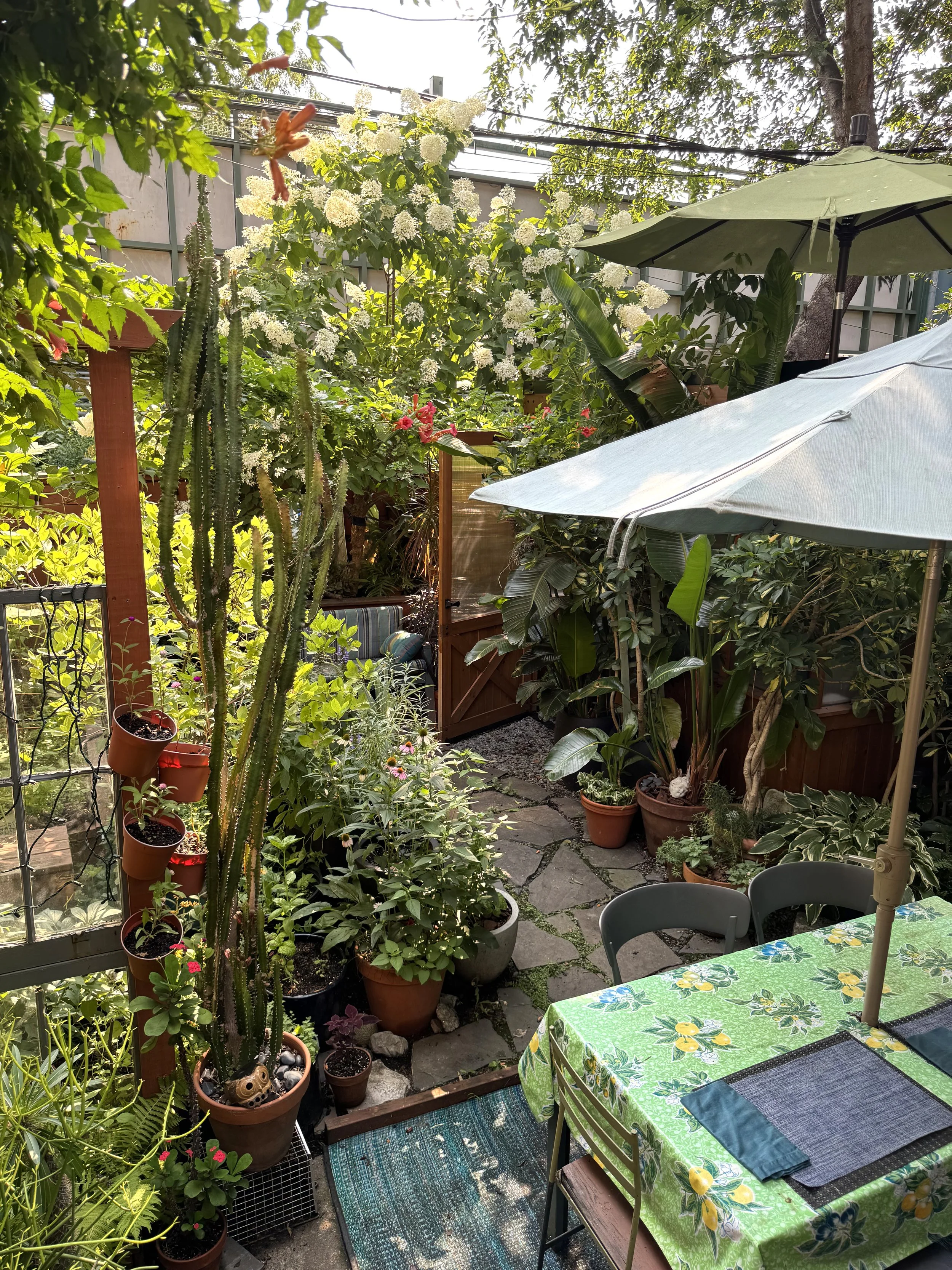 View from stairs.jpg