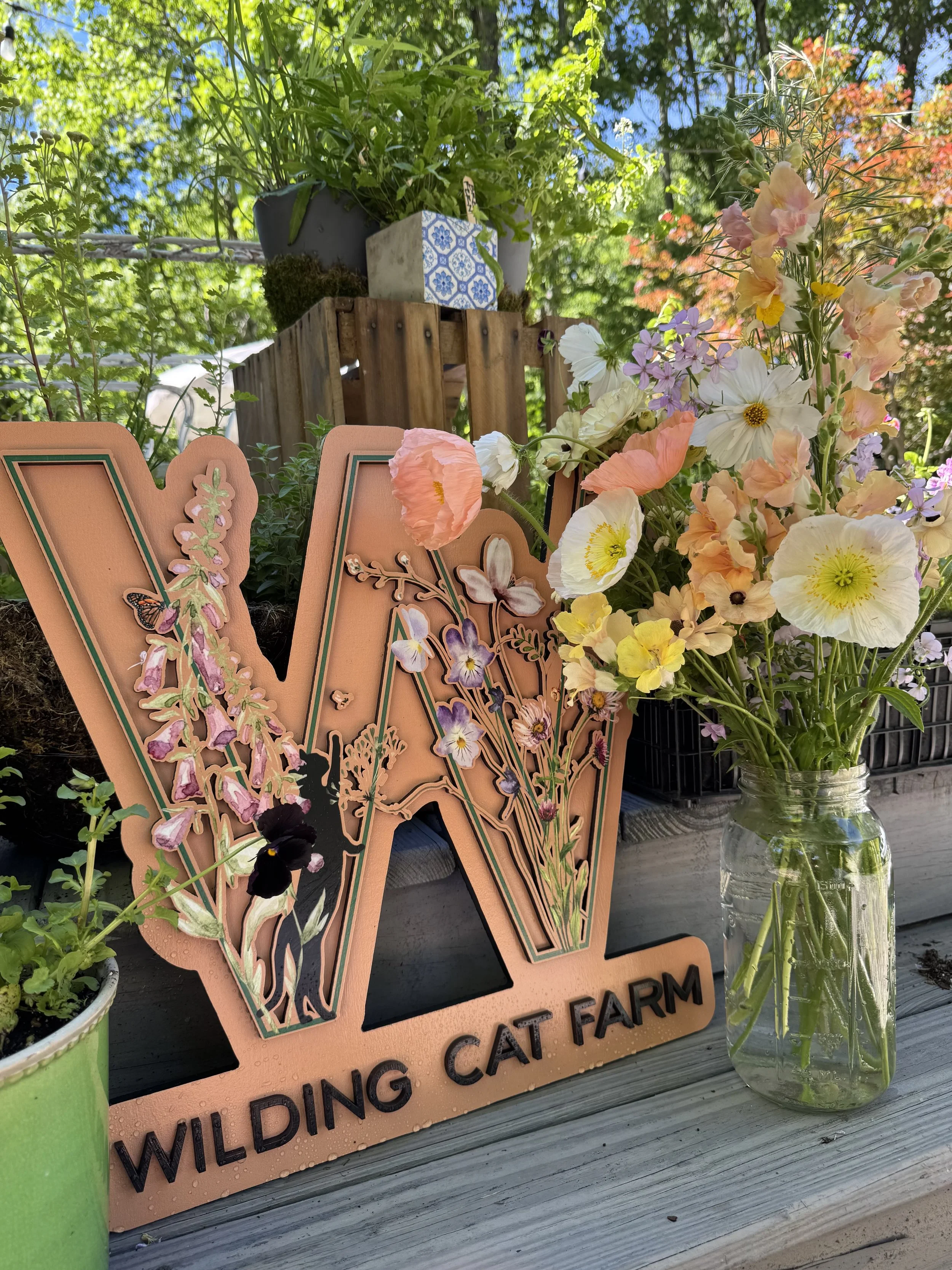 WildingCat Farm sign.jpg