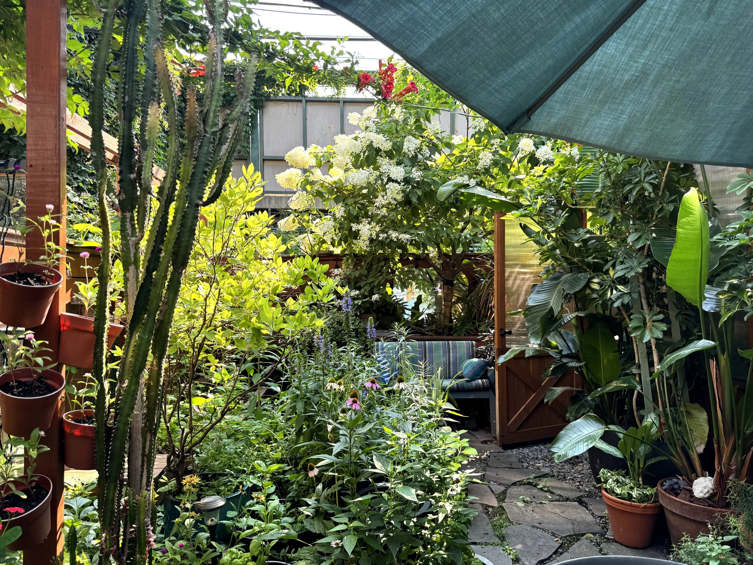 View from table.jpg