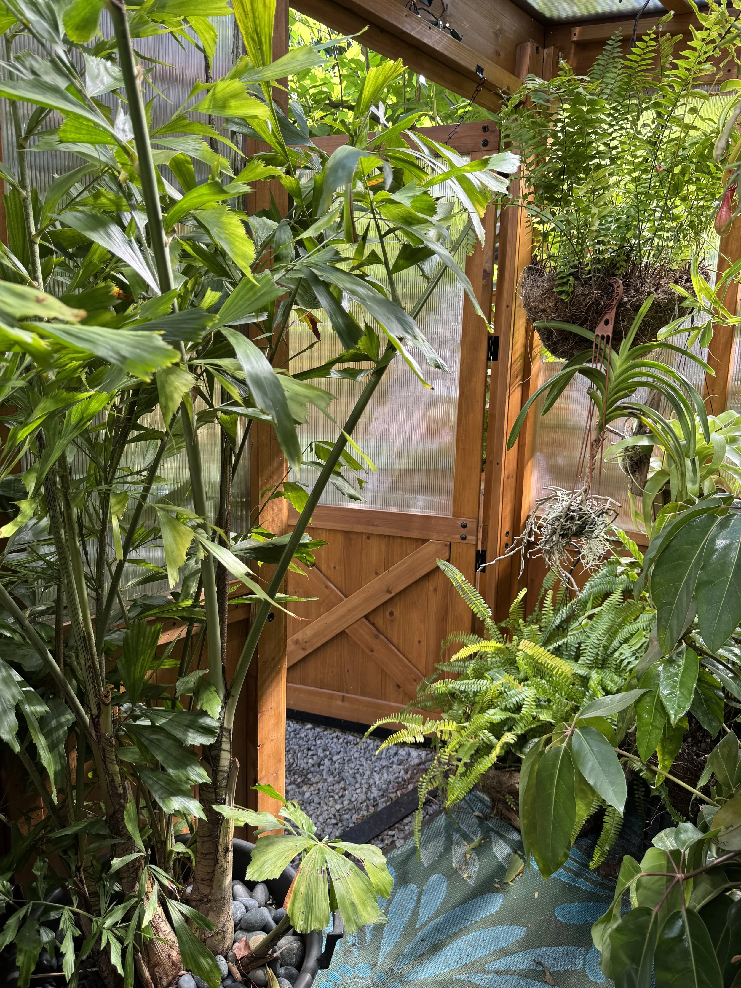 Backyard-greenhouse.jpg