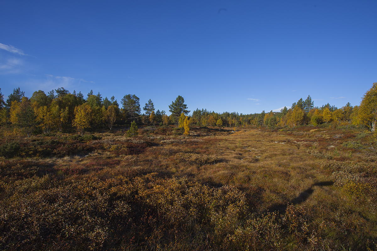 Beautigul fjells in the central Norway