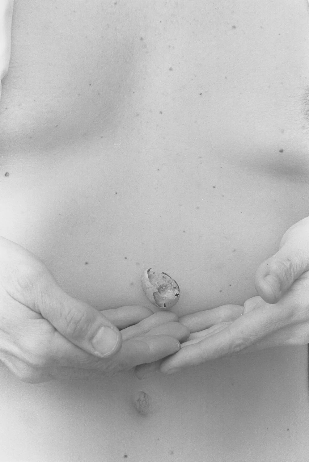 womanwithShell.jpg
