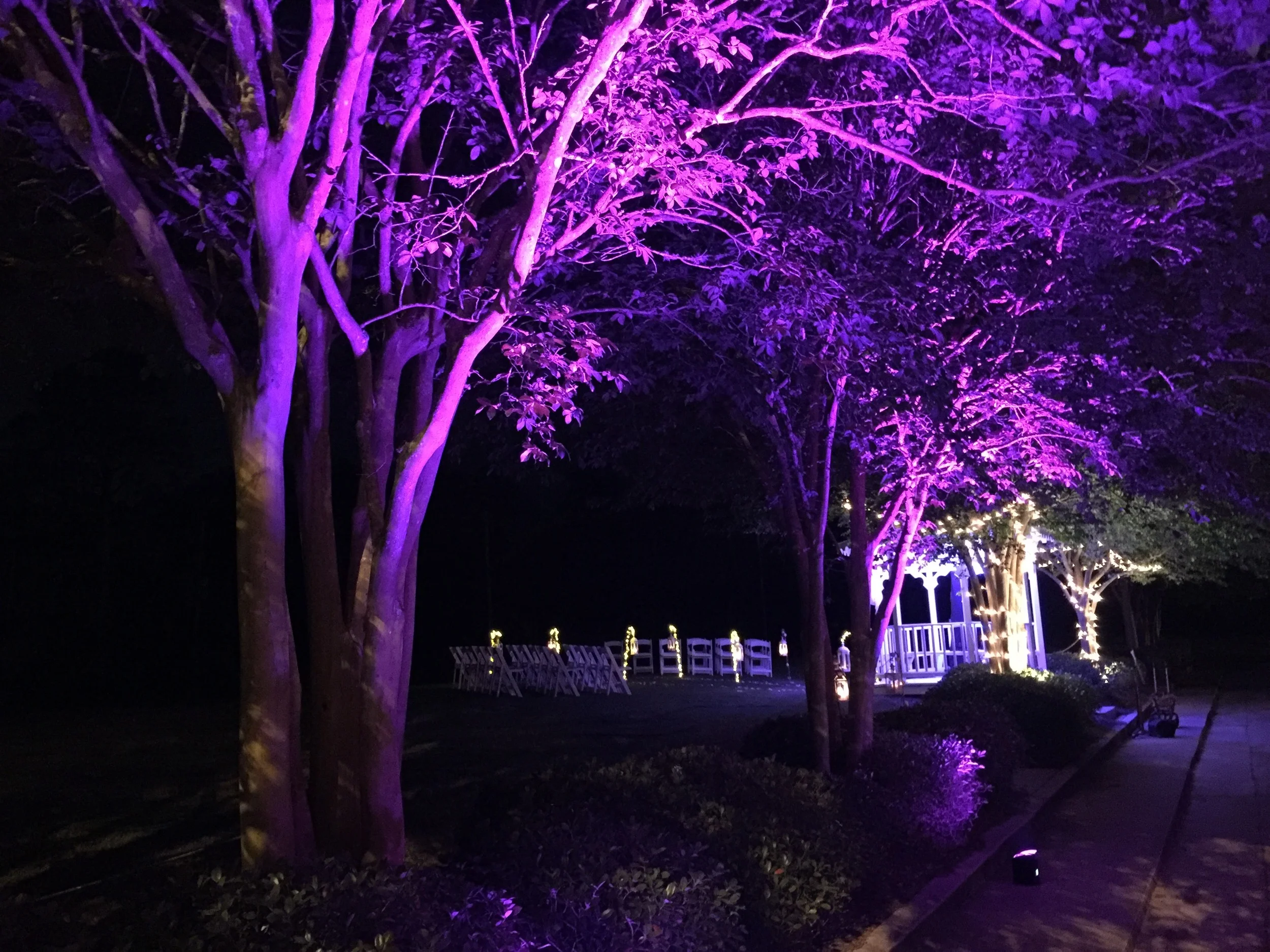 Up Lights on trees look marvelous