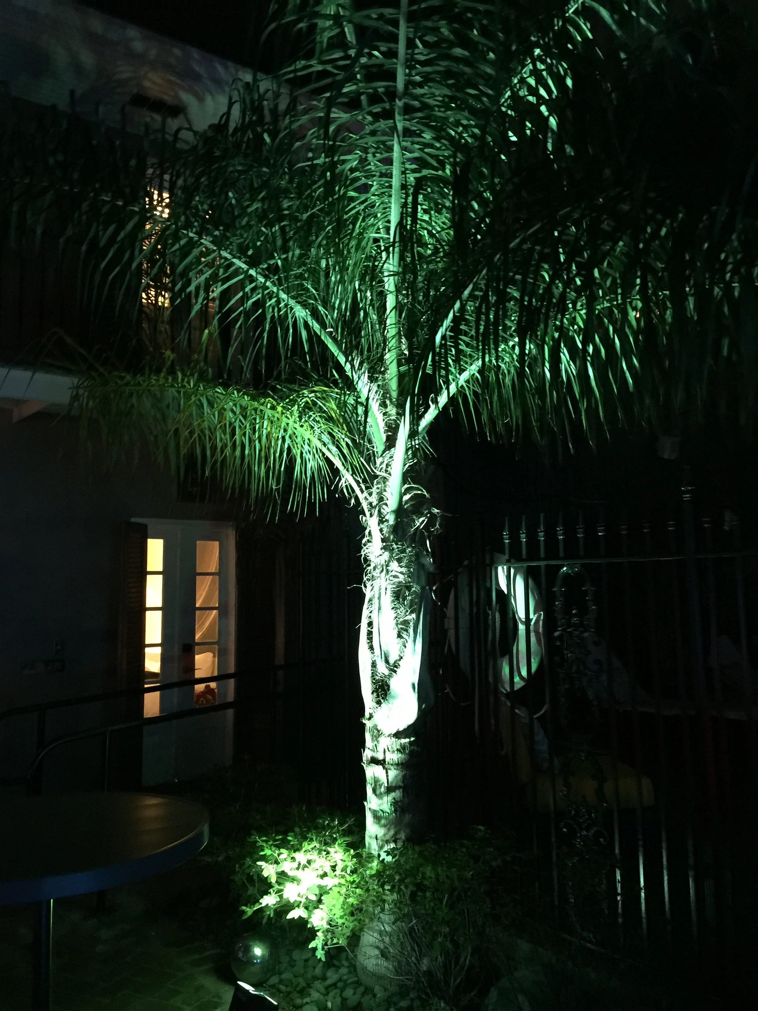 2016-05-07 21.32.24.jpg