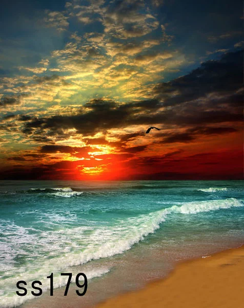      

 
  Ocean Sunset backdrop
 






















     