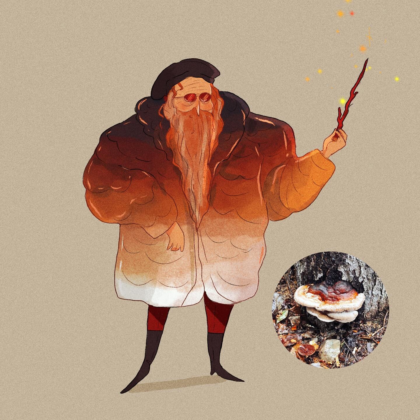 Spent a lovely little weekend away at a cabin, and took loads of pictures of mushrooms! I thought it would be fun to draw them characterized as people this afternoon, and they eventually developed into wizards. 🍄
.
.
.
.
.
.
.
.
.
#digitalart #chara