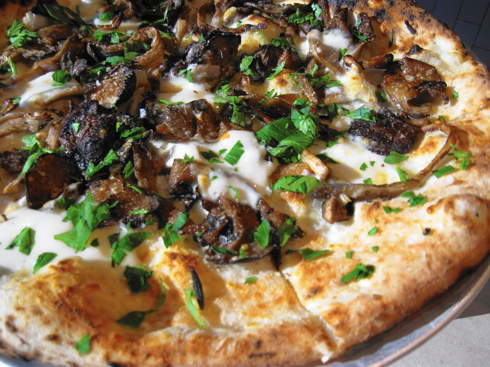 hc-fortina-pizzeriaz-stamford-20160210.jpg