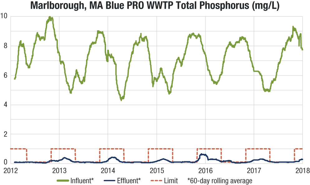 Blue-PRO-Marlborough-Graph-TP.png