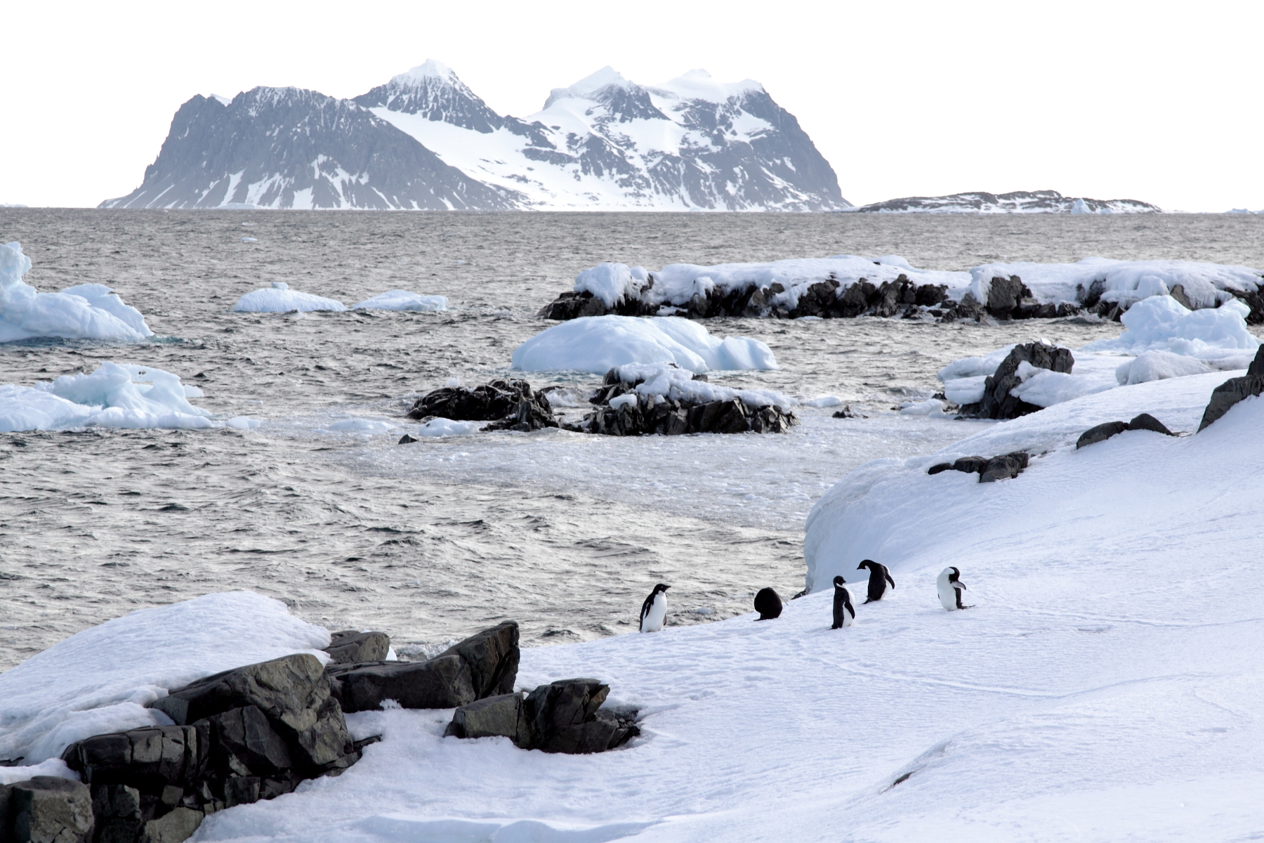 Rothera Point