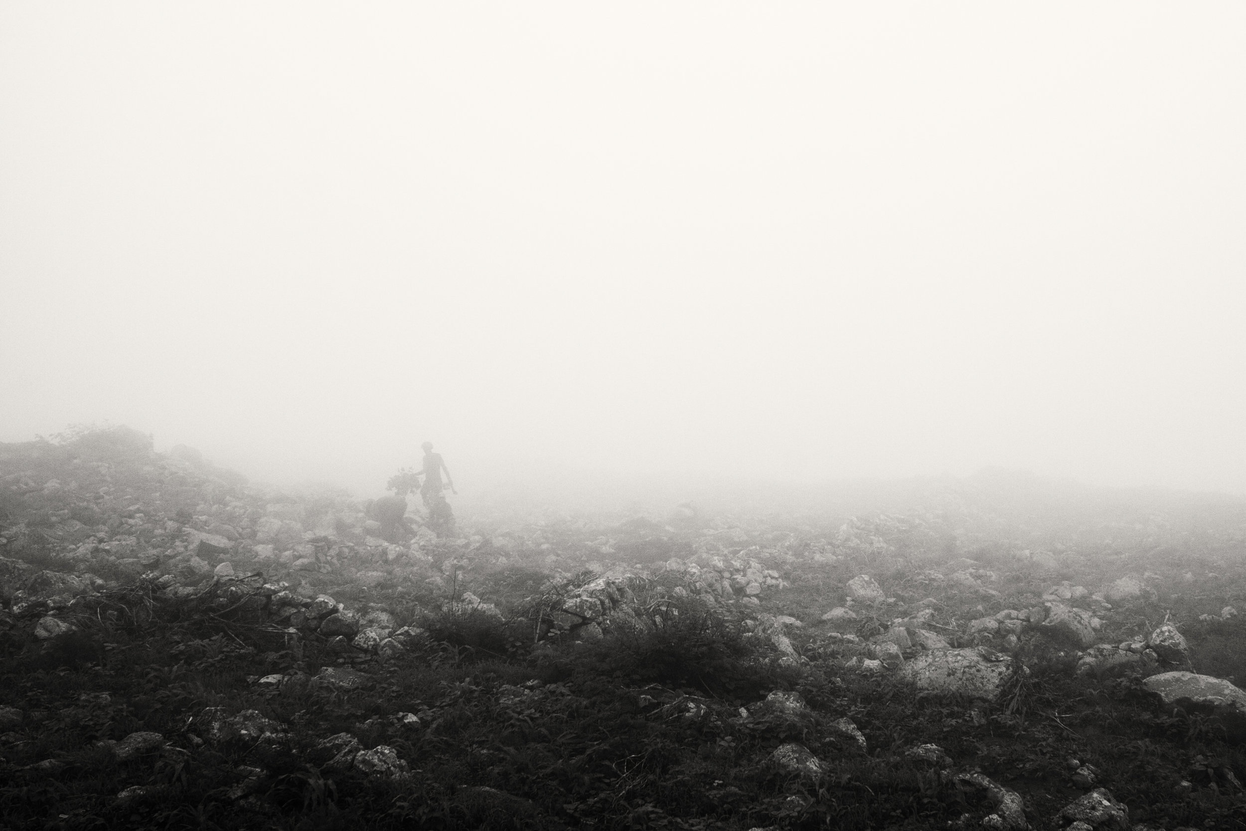 Farmer in the mist